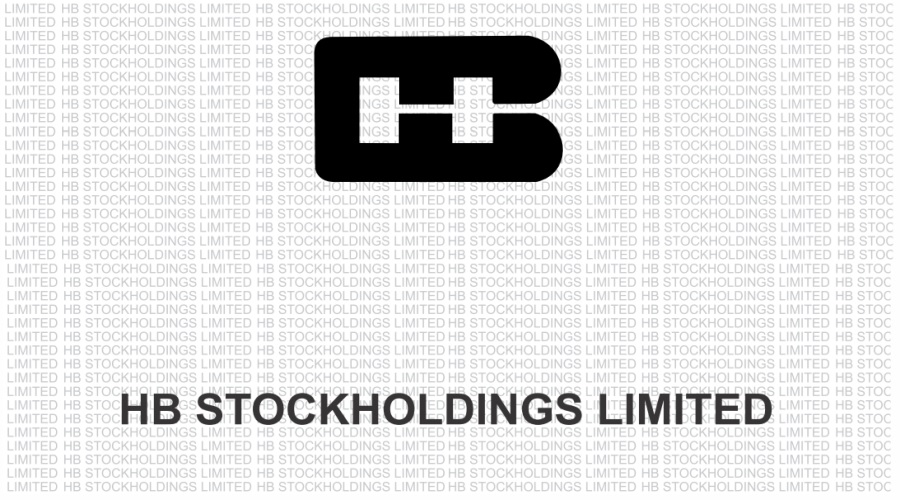 HB Stockholdings Ltd Q3FY23 profit at Rs. 3.07 crore